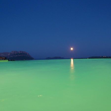 Villa And Pool Tavolara View Porto Istana ภายนอก รูปภาพ